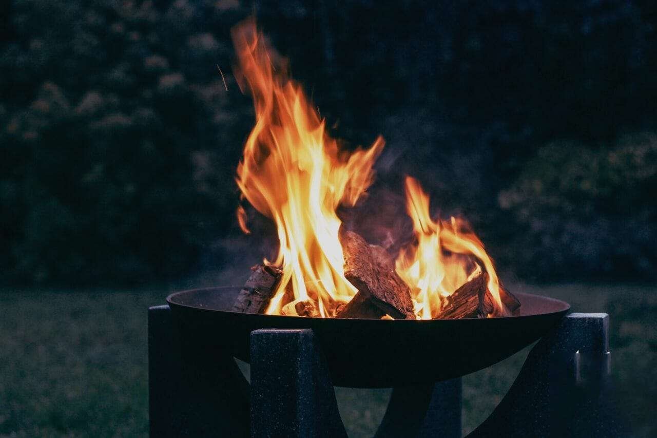 Photography of Wood Burning on Fire Pit Plant America