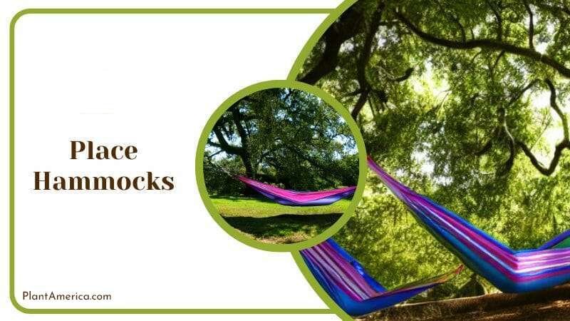 Place Hammocks on Oak Trees in the Yard Plant America