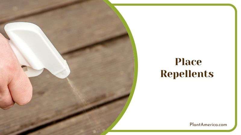 Place Repellents Plant America