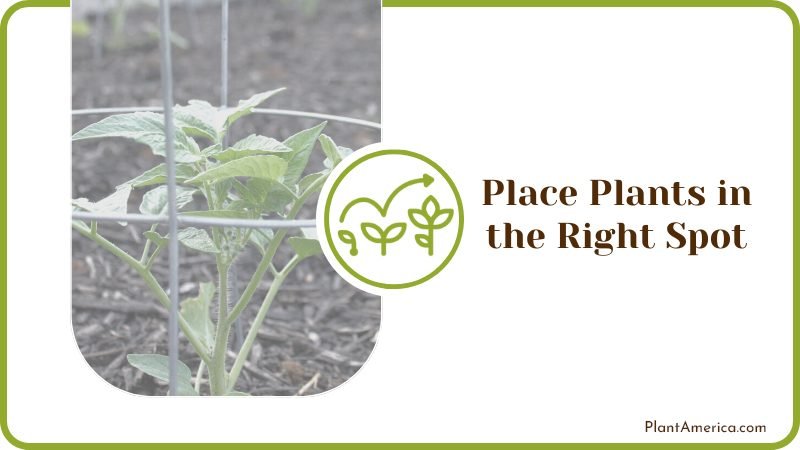 Placing Plants in the Right Spot Plant America Placing Plants in the Right Spot Plant America