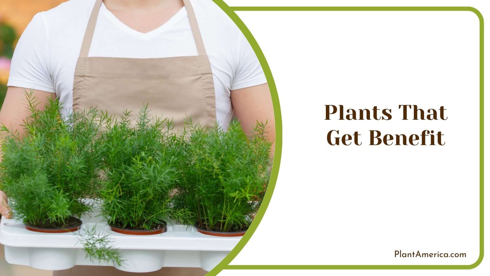 Plants That Get Benefit Plant America