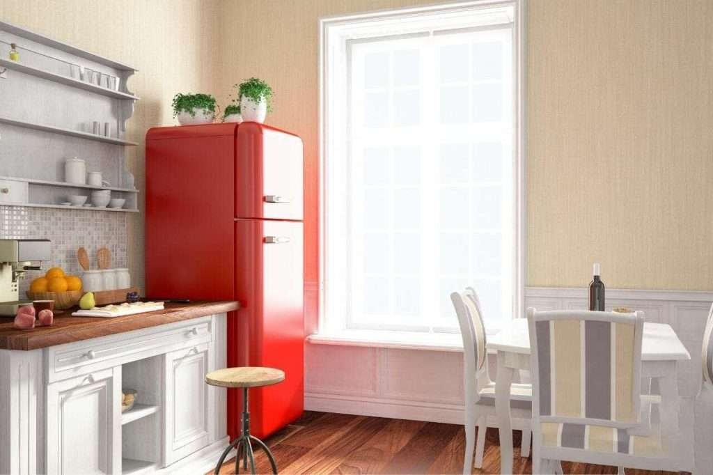 18 Plants To Put On Top Of Refrigerator Choose Your Favorite Plant