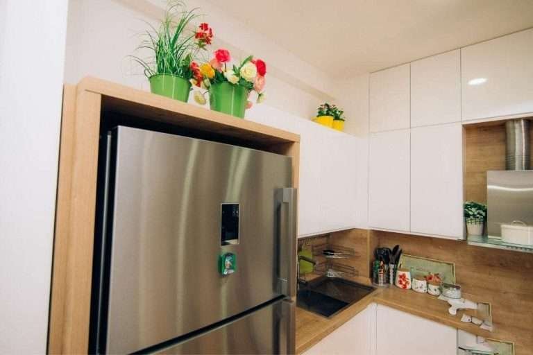 18 Plants To Put On Top Of Refrigerator Choose Your Favorite Plant