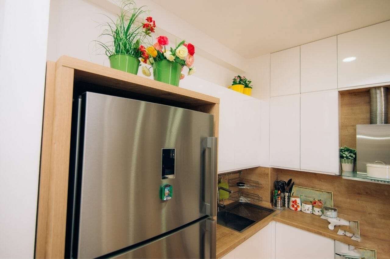 Plants on Top of a silver Refrigerator Plant America 18 Plants To Put On Top Of Refrigerator: Choose Your Favorite