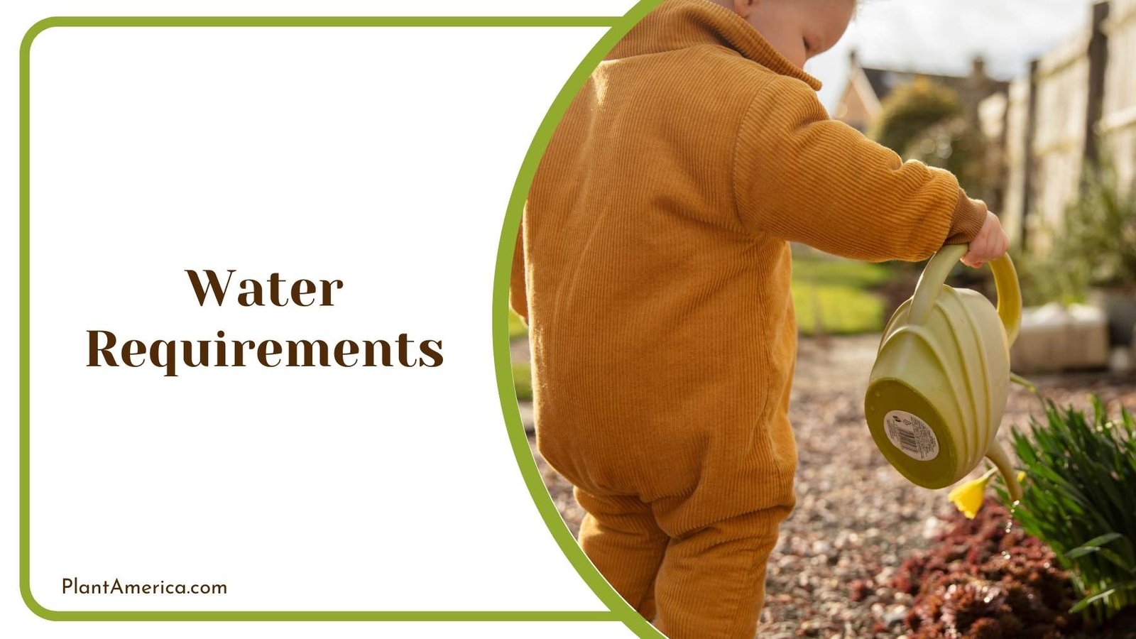 Plastic Container In Hand Of a Baby Plant America