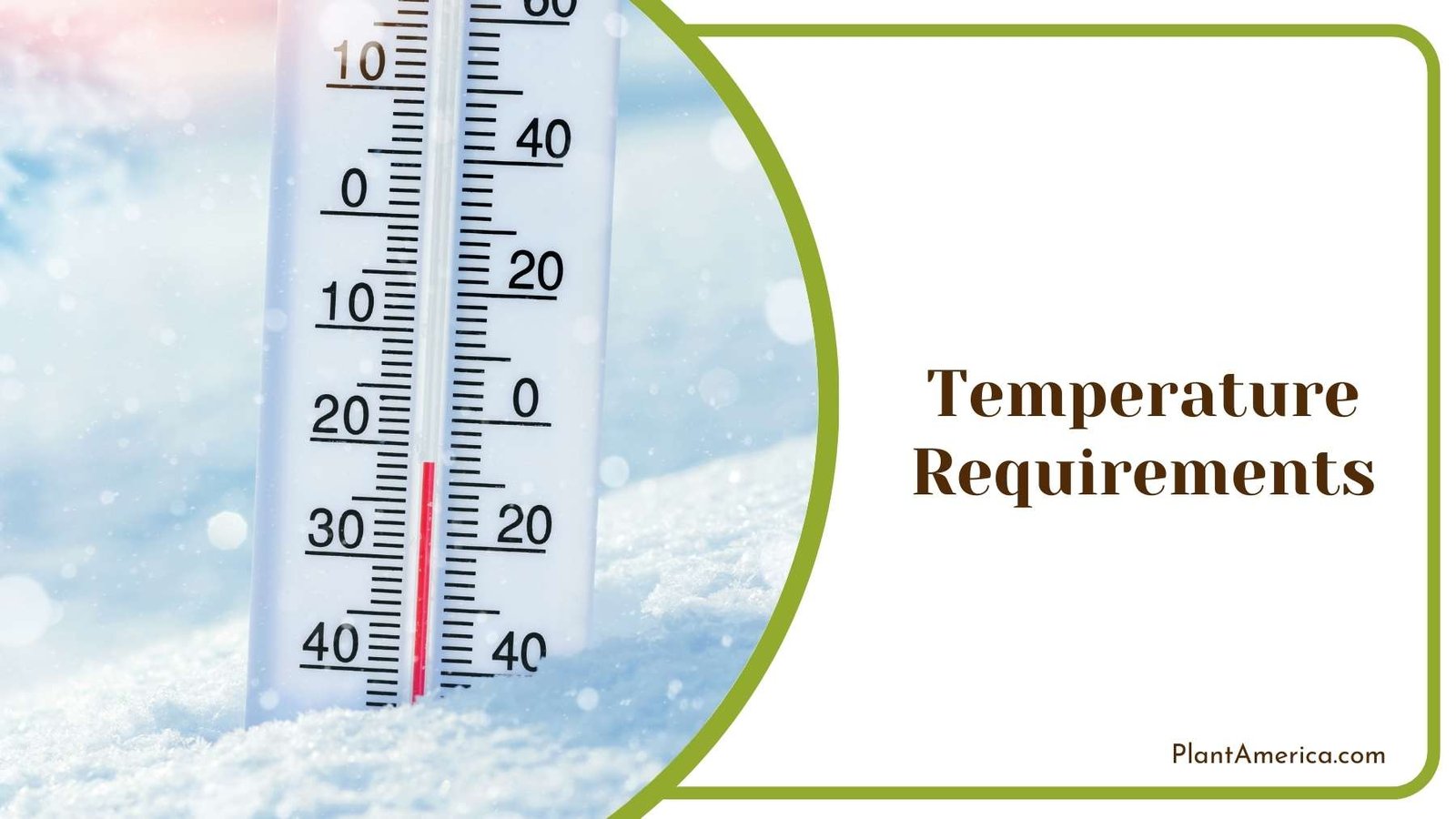Plastic Thermometer In Snow Plant America Plastic Thermometer In Snow Plant America