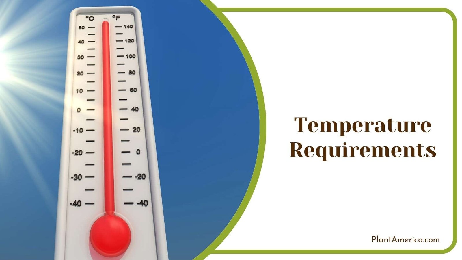Plastic Thermometer Plant America