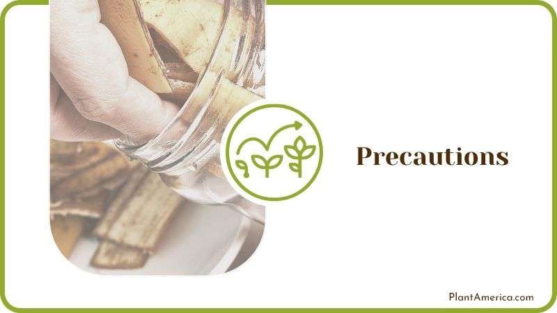 Precautions to Take Plant America