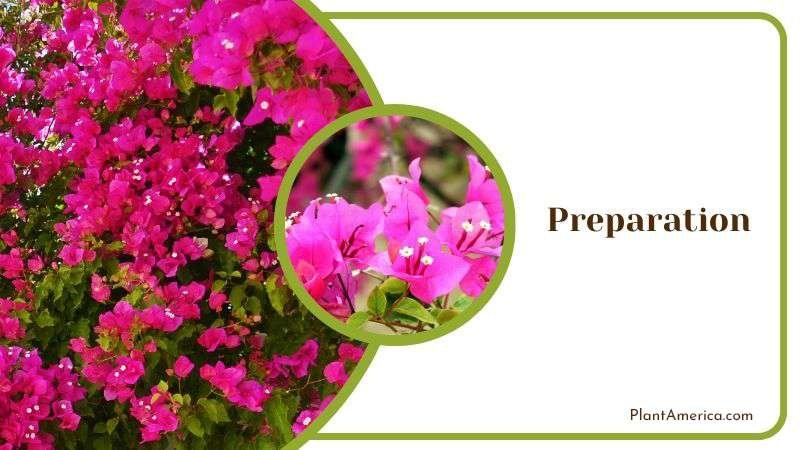 Preparation Plant America Preparation Plant America