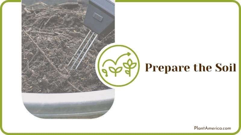 Prepare the Soil Plantamerica