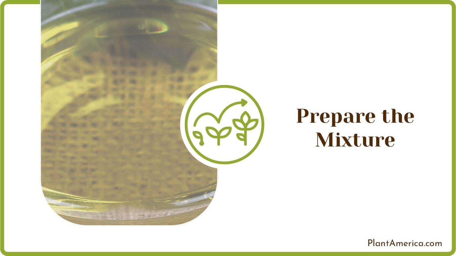 Preparing Neem Oil Mixture PlantAmerica