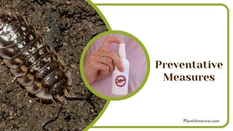 Preventative Measures Plant America