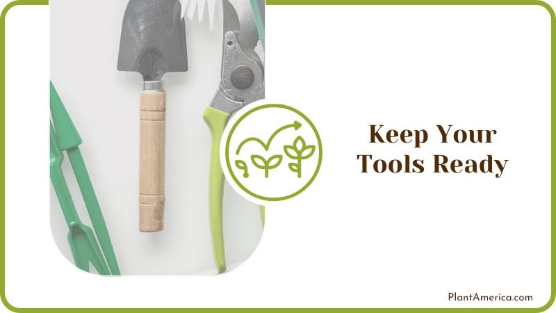 Propagating with Tools Plant America