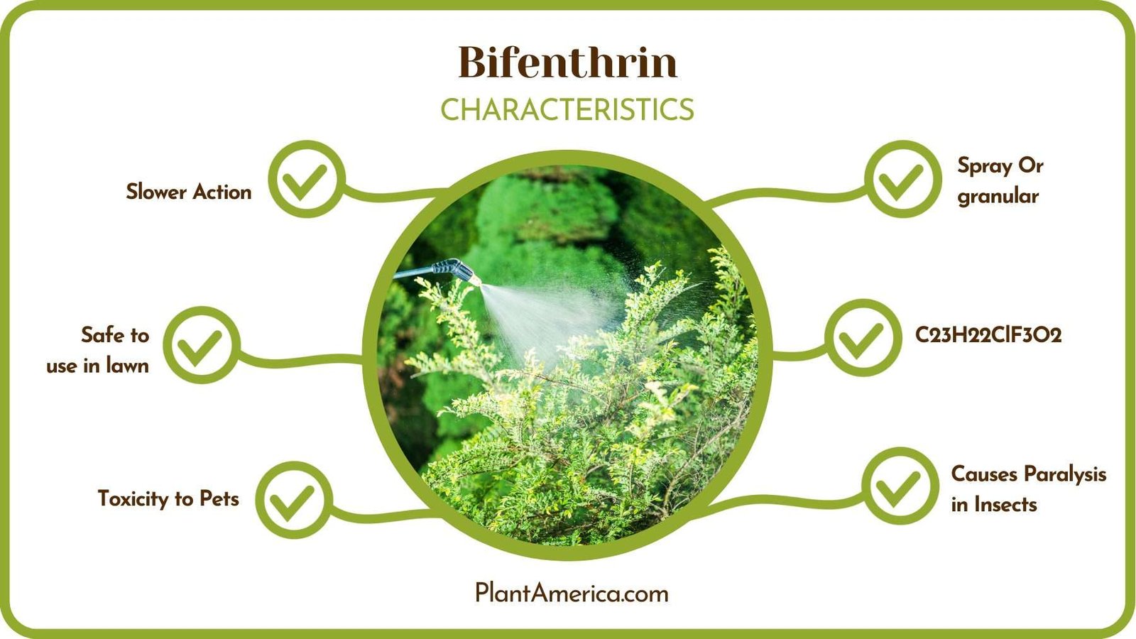 Properties of Bifenthrin PlantAmerica