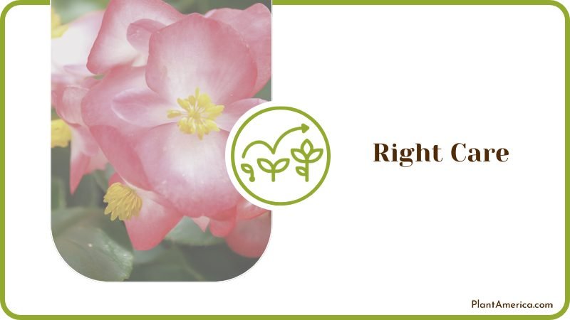 Provide The Right Care ~ PlantAmerica Provide The Right Care ~ PlantAmerica