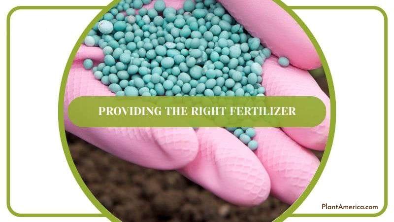 Providing the Right Fertilizer Plant America Providing the Right Fertilizer Plant America