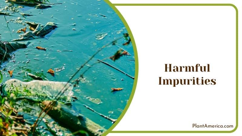 Reducing Harmful Impurities Plant America