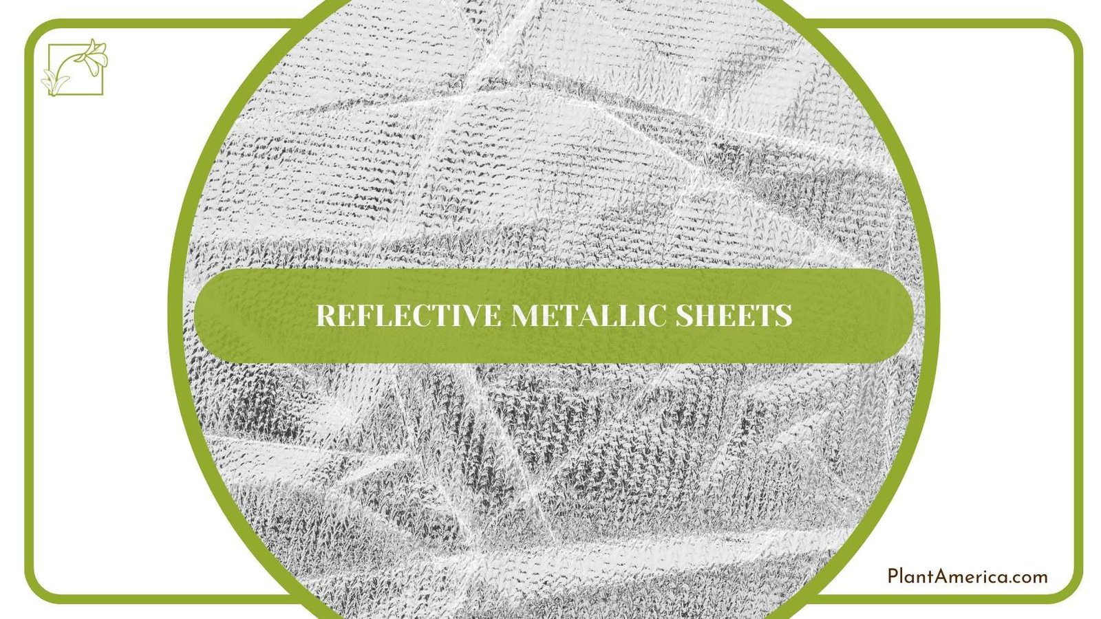 Reflective Metallic Sheets PlantAmerica