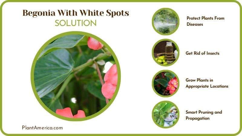 Content Images Problem/Solution Sujon Reasons Can Cause Begon