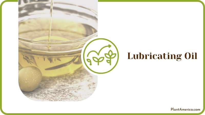 Remove Wasps Using Oil Plant America