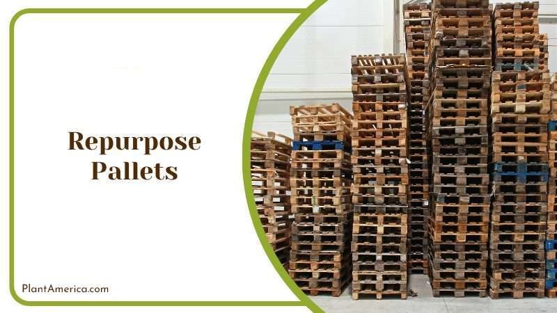 Repurpose Pallets Plant America