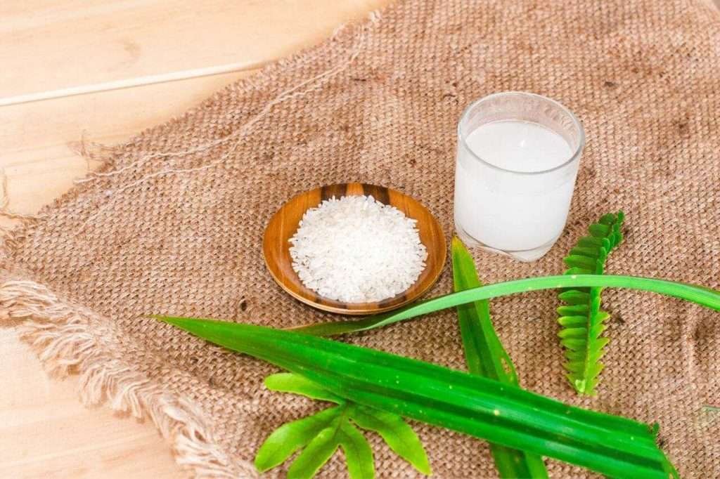 Rice Water For Plants: The Complete Guide For Gardeners - Plant America