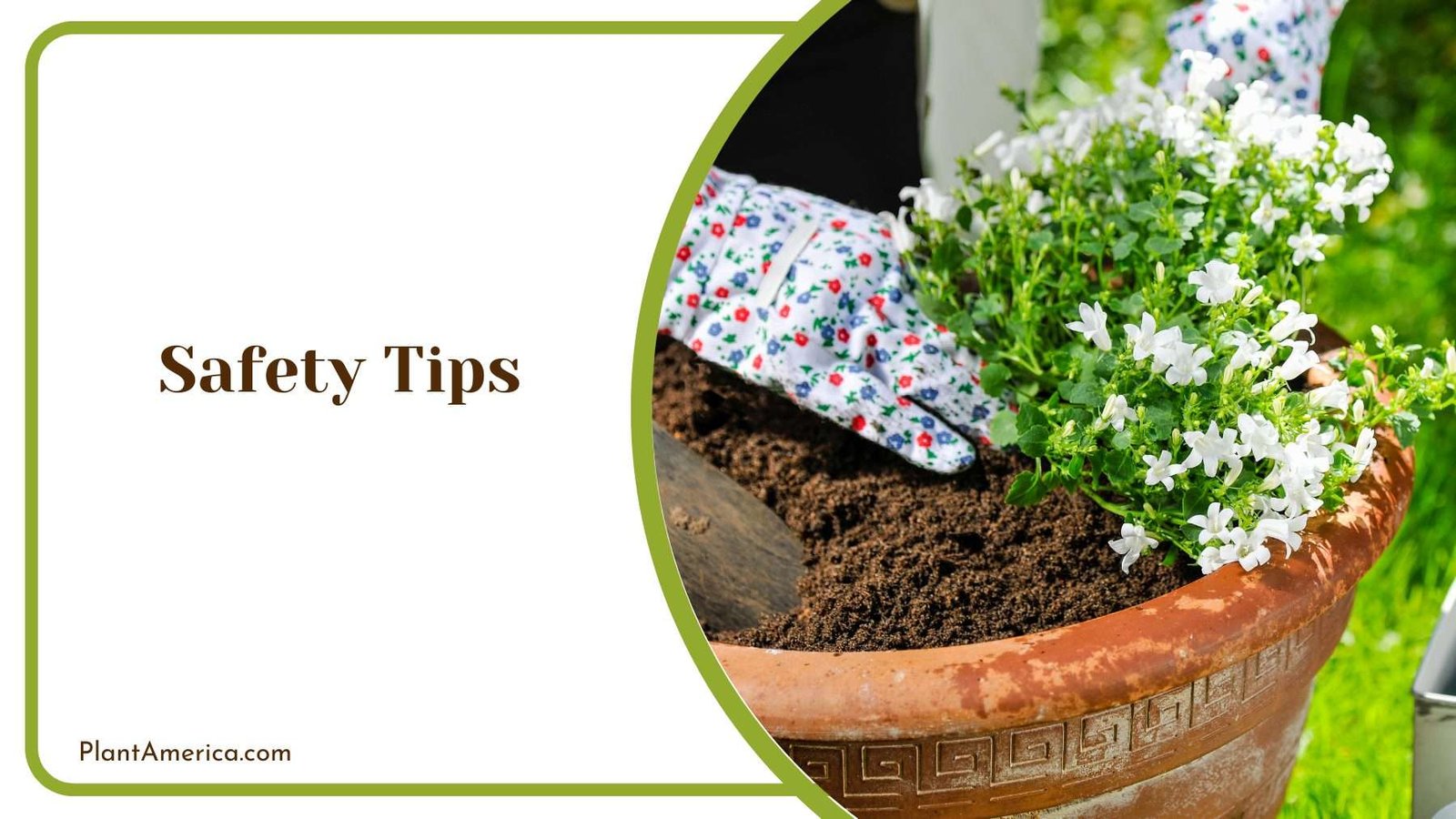 Safety Tips of Using Soil Activator Plant America Safety Tips of Using Soil Activator Plant America