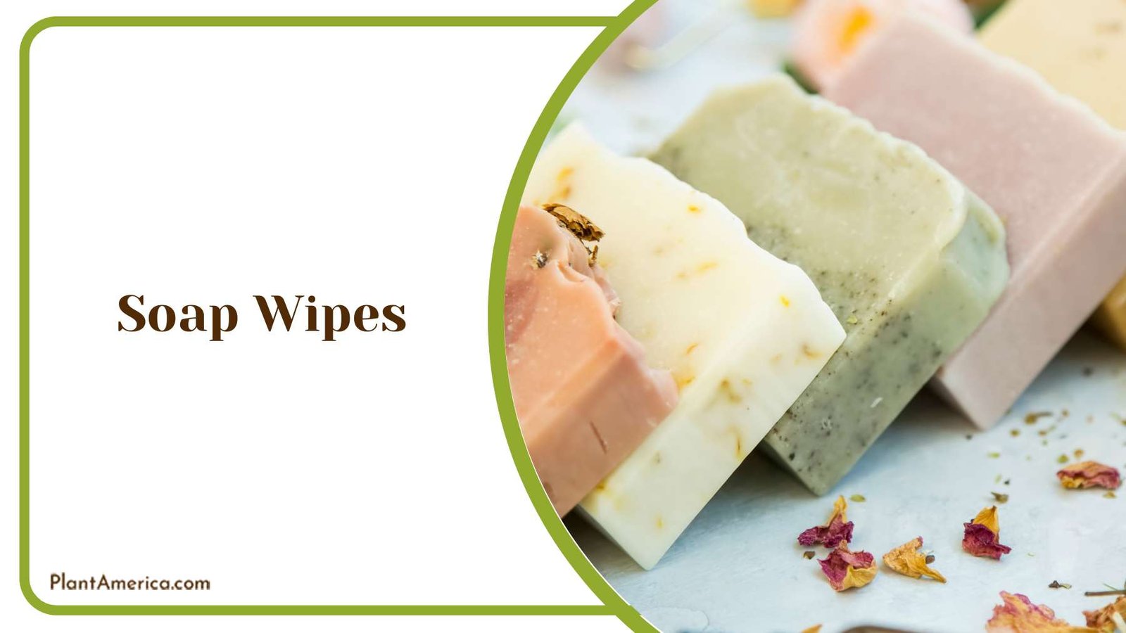 Soap Wipes on Plants Plant America