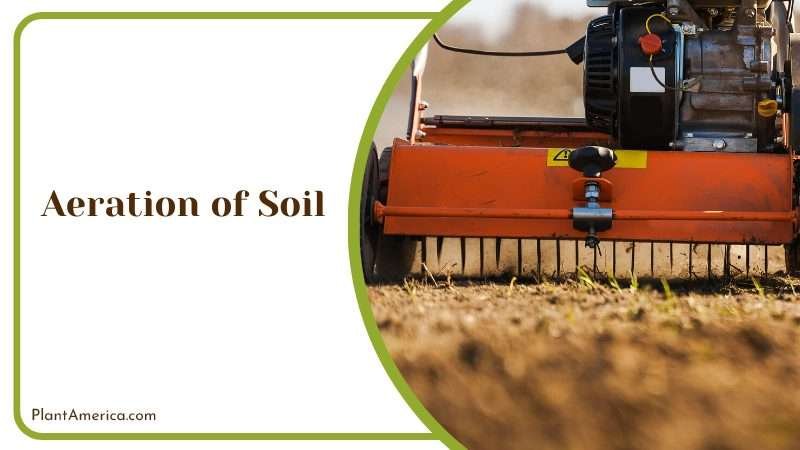 Soil Aeration for Optimal Plant Growth Plant America