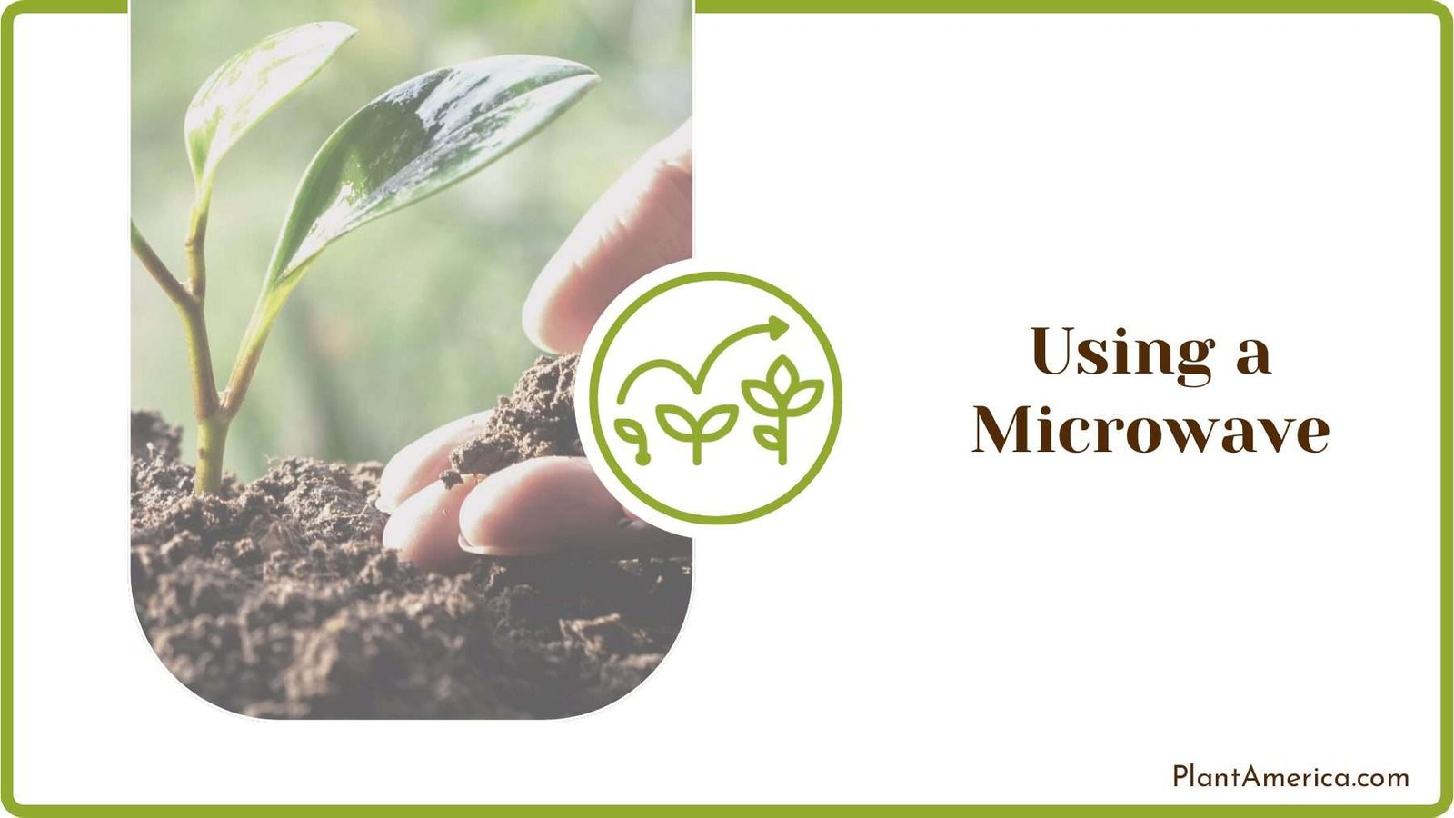 Soil Care for Plants Plant America