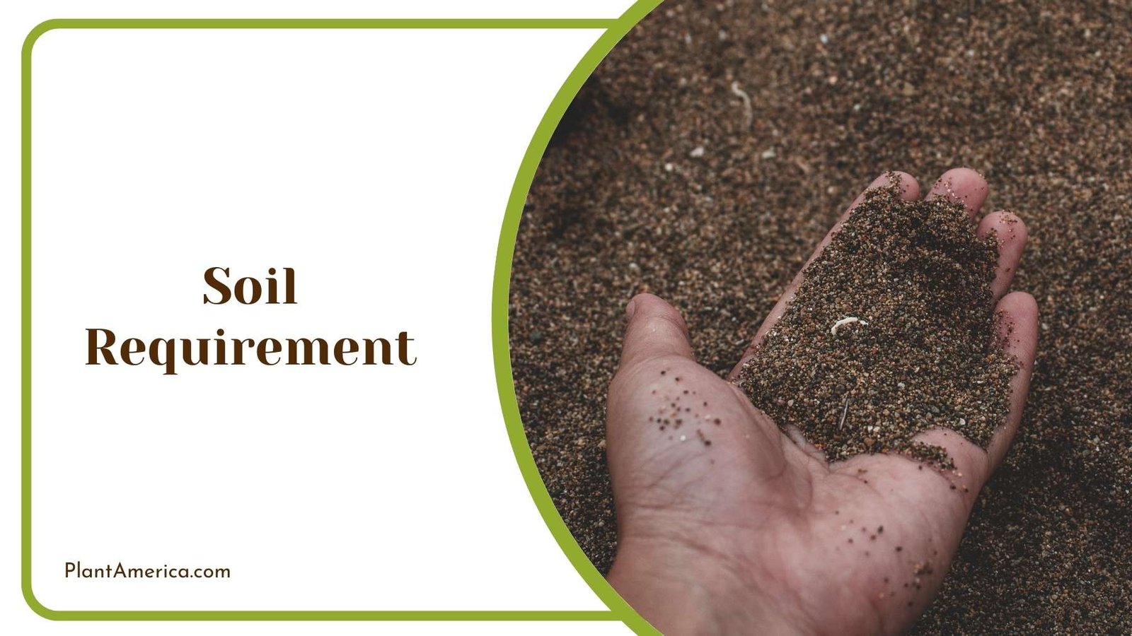 Soil In Hand Plant America