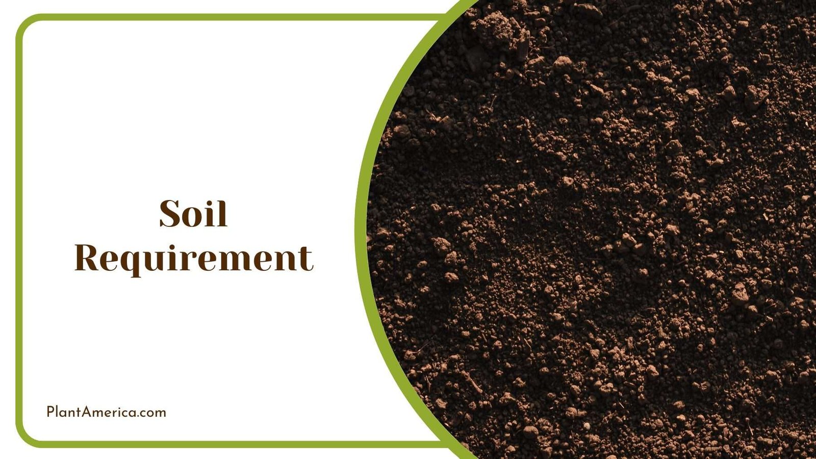 Soil On Land Plant America Soil On Land Plant America