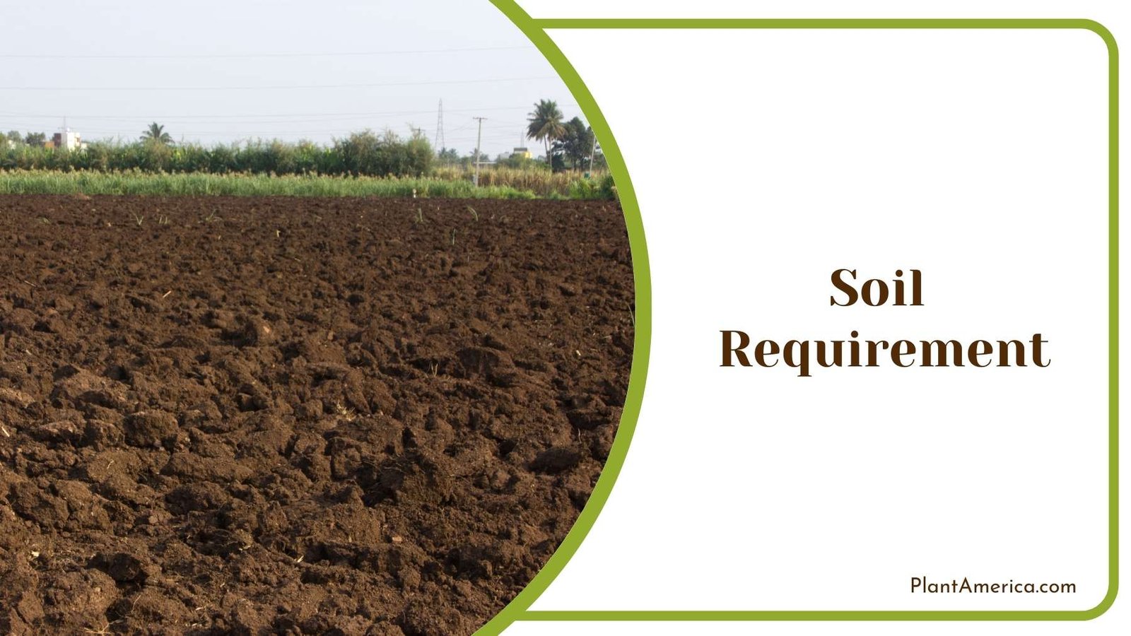 Soil On a Farm Plant America