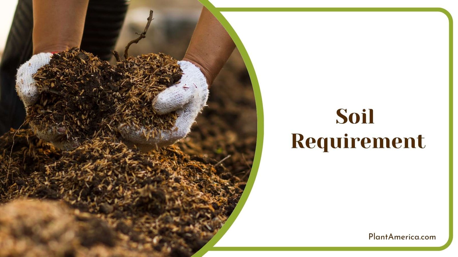Soil for Gardening Plant America