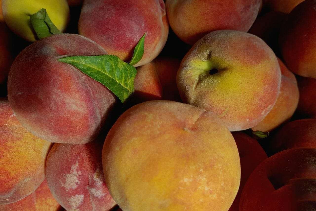 Southern Sweet Peaches PlantAmerica
