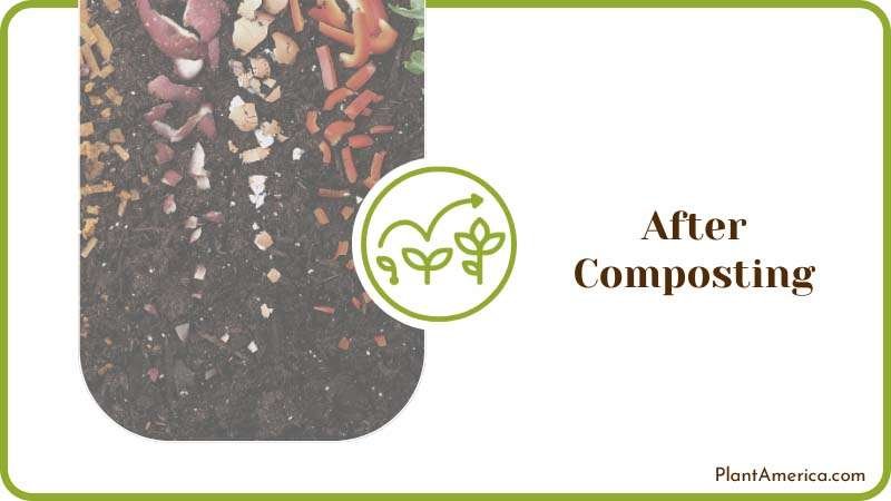 Starting a Compost Tumbler instead of a Compost Bin Plant America Starting a Compost Tumbler instead of a Compost Bin Plant America
