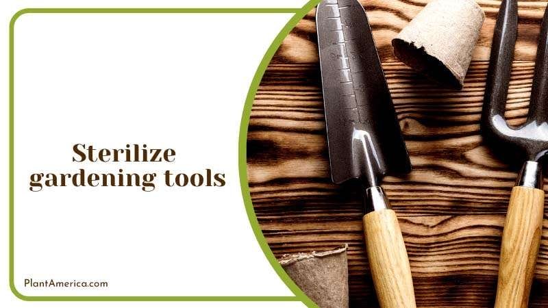 Sterilizing Gardening Tools Plant America Sterilizing Gardening Tools Plant America