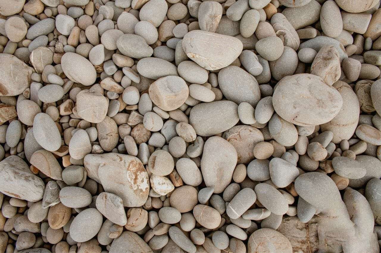 Stones or Rocks Plant America