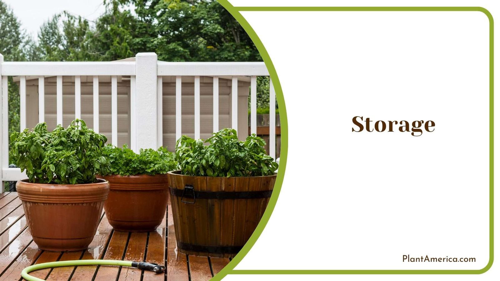 Storage of Plants Plant America Storage of Plants Plant America