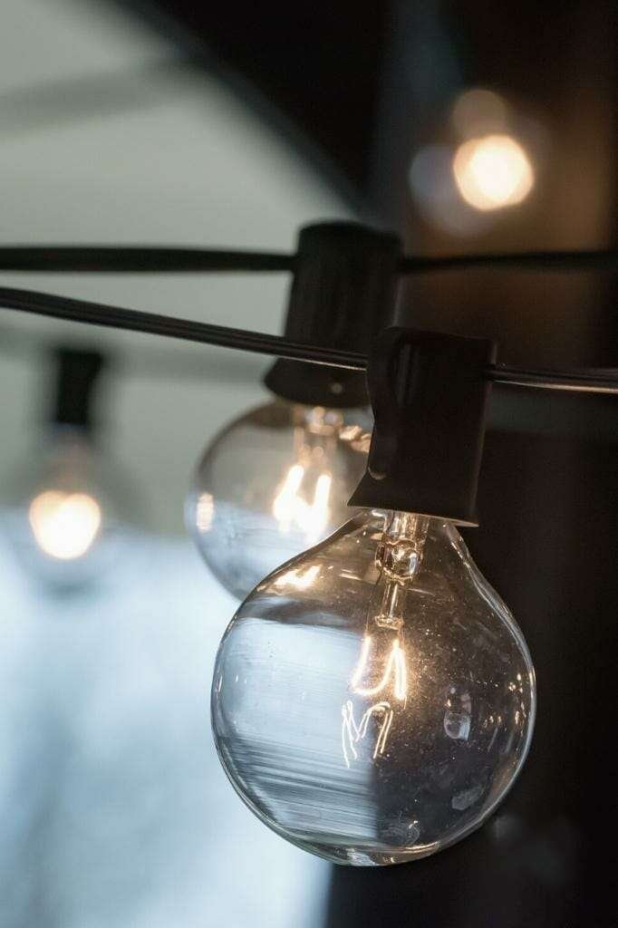 String lights without trees Plant America String lights without trees Plant America