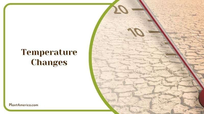 Temperature Changes Plant America