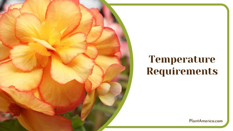 Temperature Requirements to Grow ~ PlantAmerica