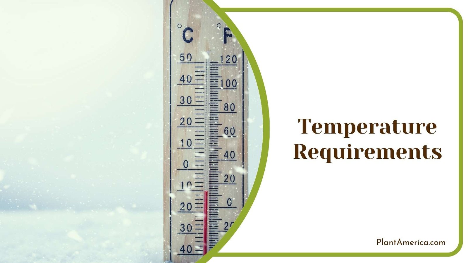 Thermometer In Blizzard Plant America