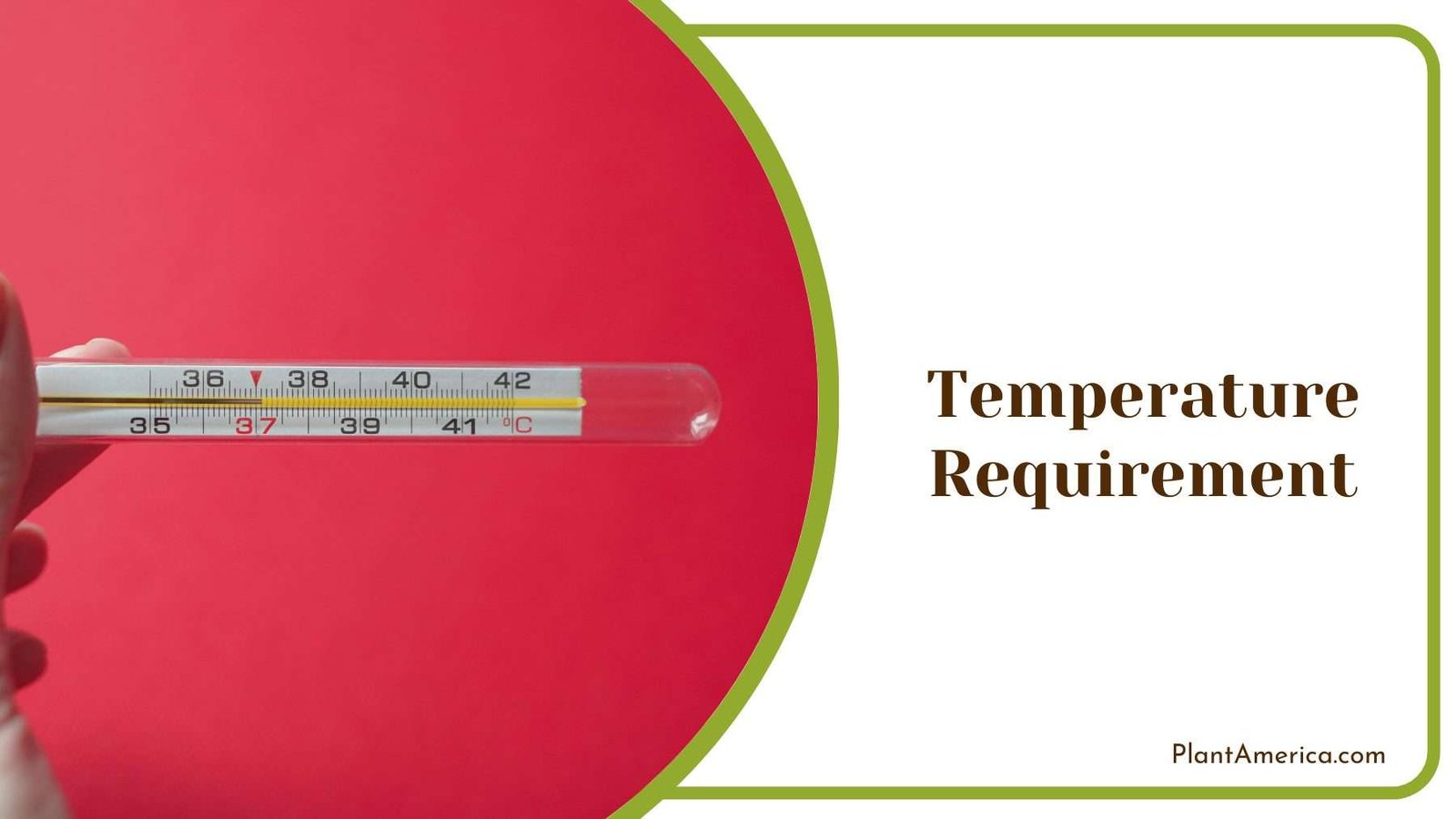 Thermometer In Hand Of a Person Plant America