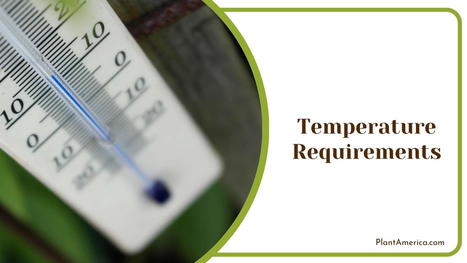 Thermometer In a Blurry Style Plant America Thermometer In a Blurry Style Plant America