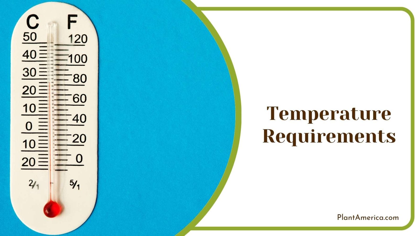 Thermometer On Blue Wall Plant America