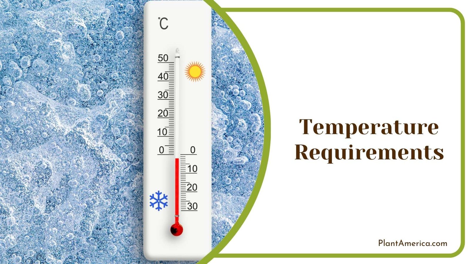 Thermometer On Stone Plant America