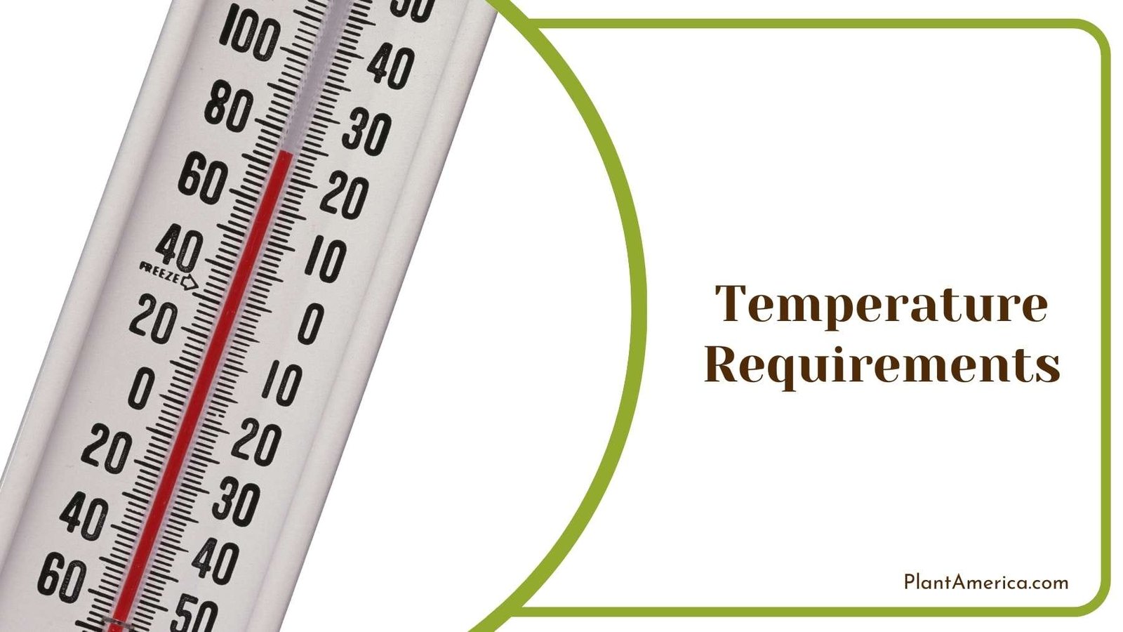 Thermometer On a White Background Plant America 1
