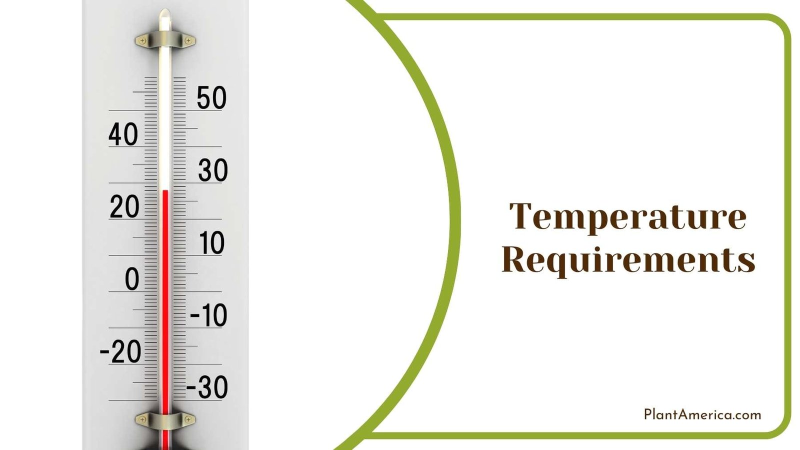 Thermometer On a White Background Plant America