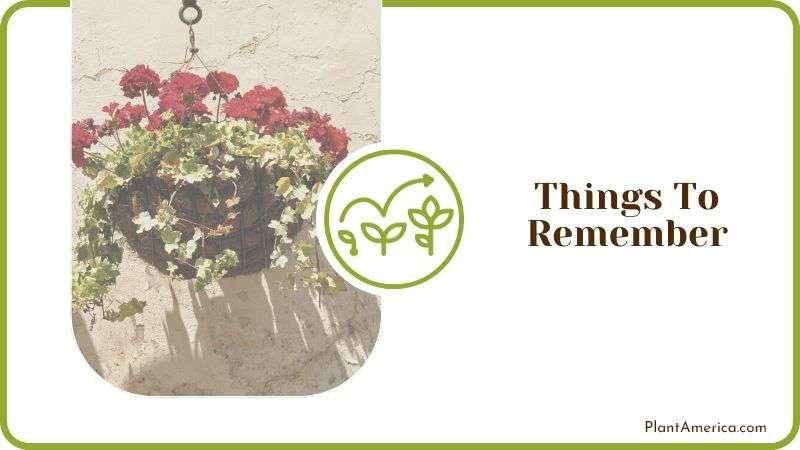 Things To Remember Plant America